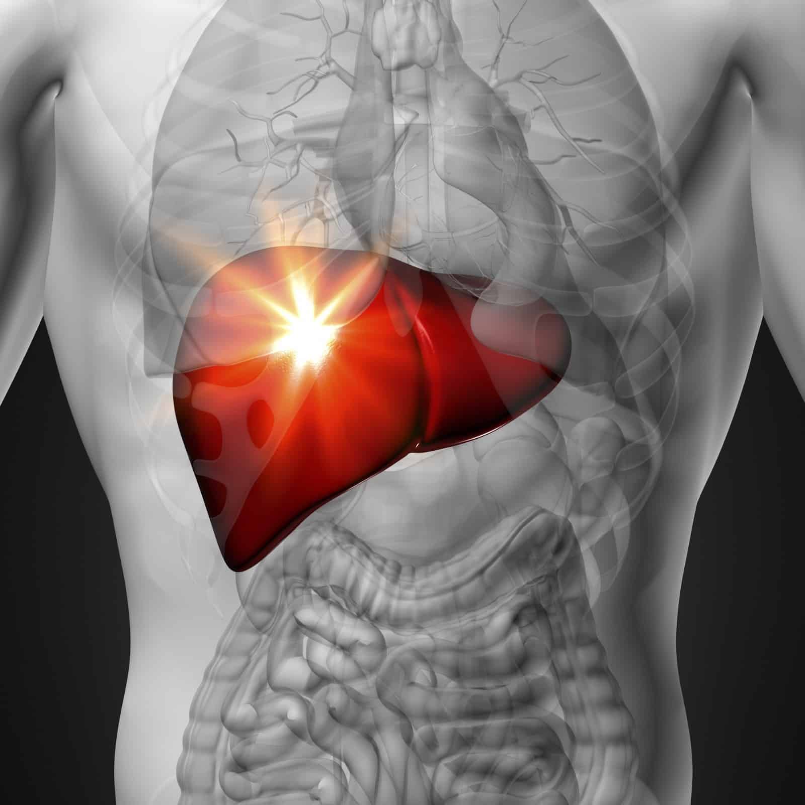 10 Key Facts About Liver Awareness
