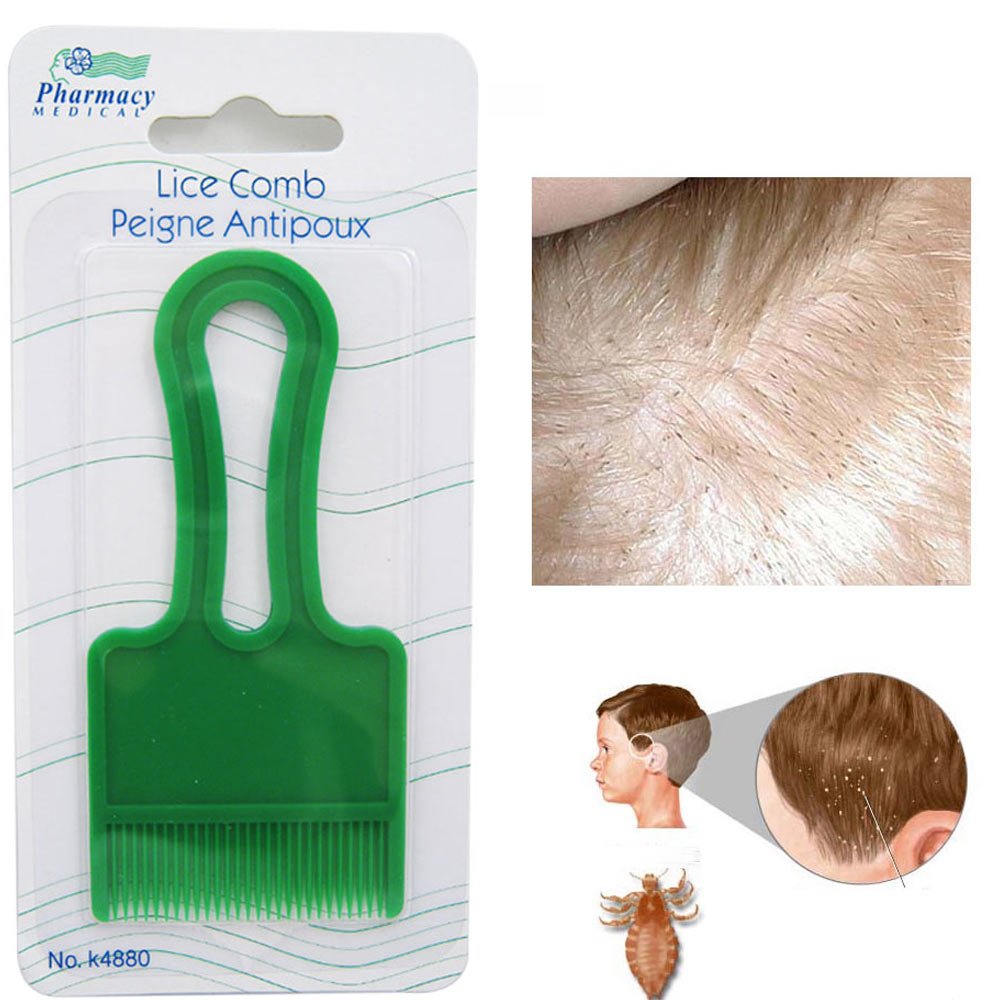 2 Lice Combs Head Pet Flea Hair Plastic Treatment Rid Fast ...