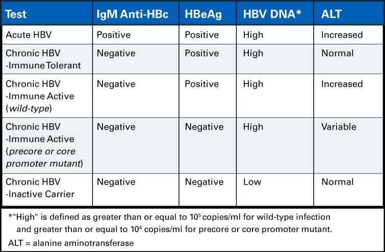 Acute and Chronic Hepatitis B Comparision