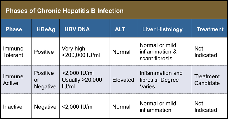 All About Hepatits B: Acute vs. Chronic Hepatitis B