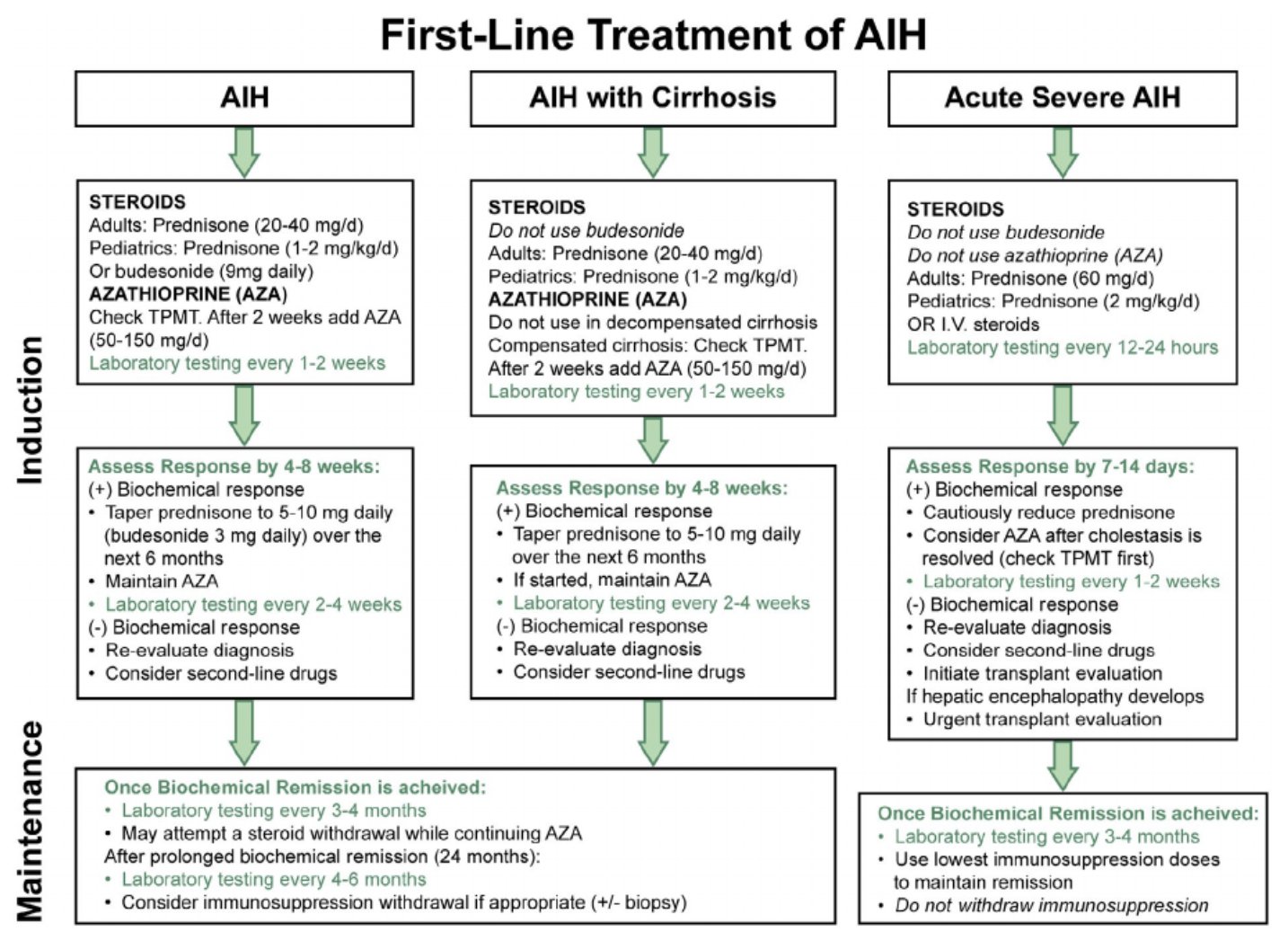 Autoimmune Hepatitis (AIH) Management Algorithm