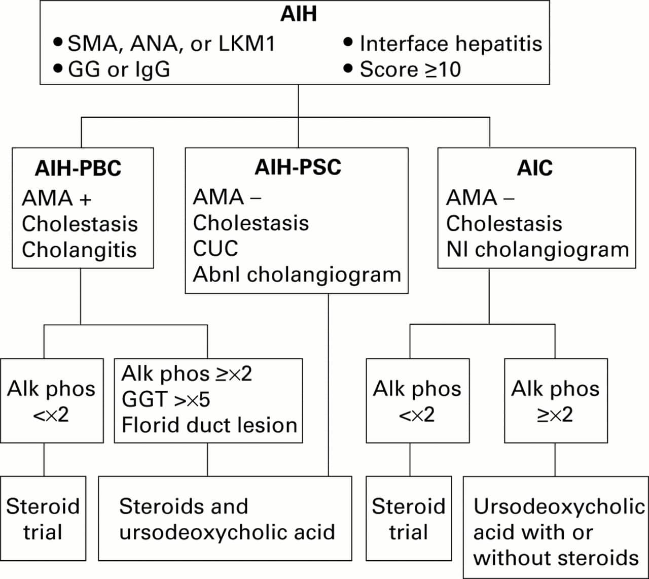 Autoimmune hepatitis and its variant syndromes