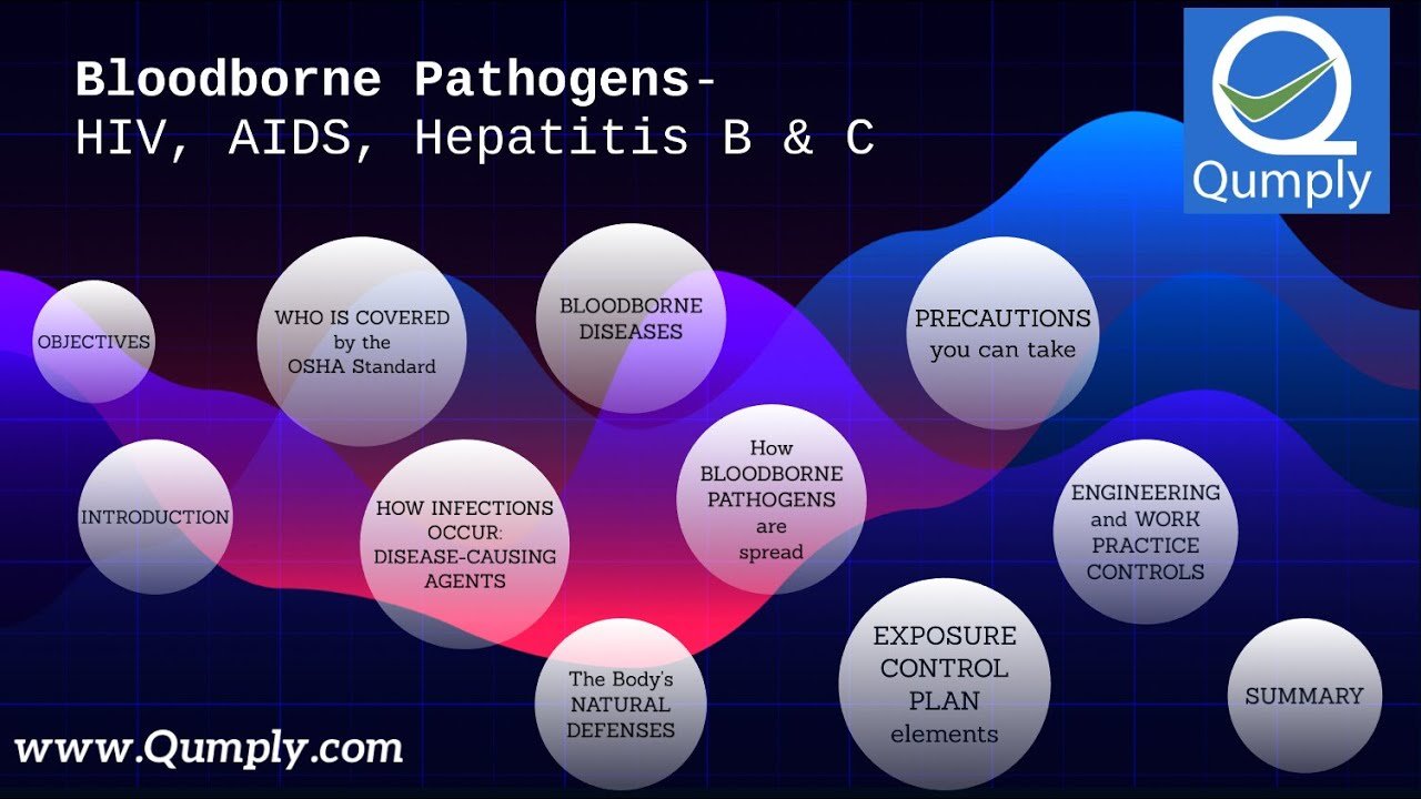Bloodborne Pathogens HIV, AIDS, Hepatitis B &  C