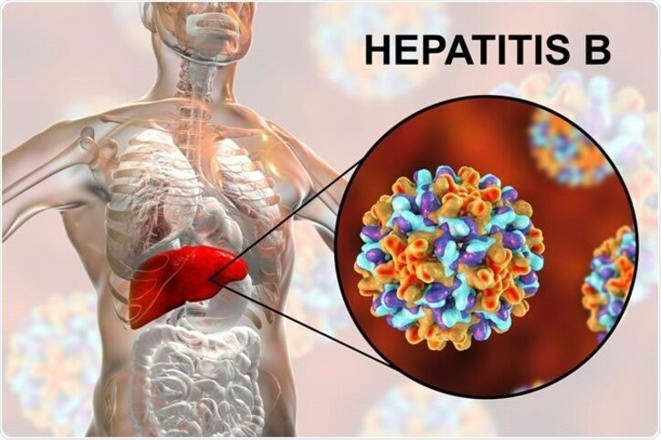 can bitter leaves cure hepatitis b : can bitter leaves come to the rescue