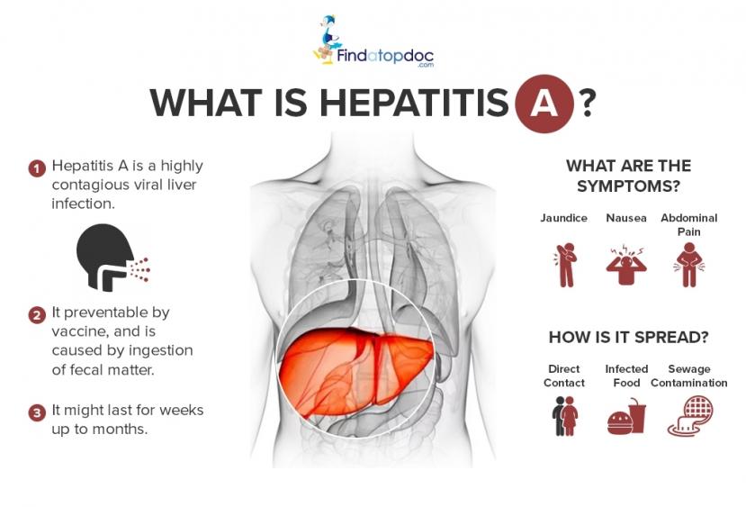 Can Hepatitis A Impact Your Quality of Life?