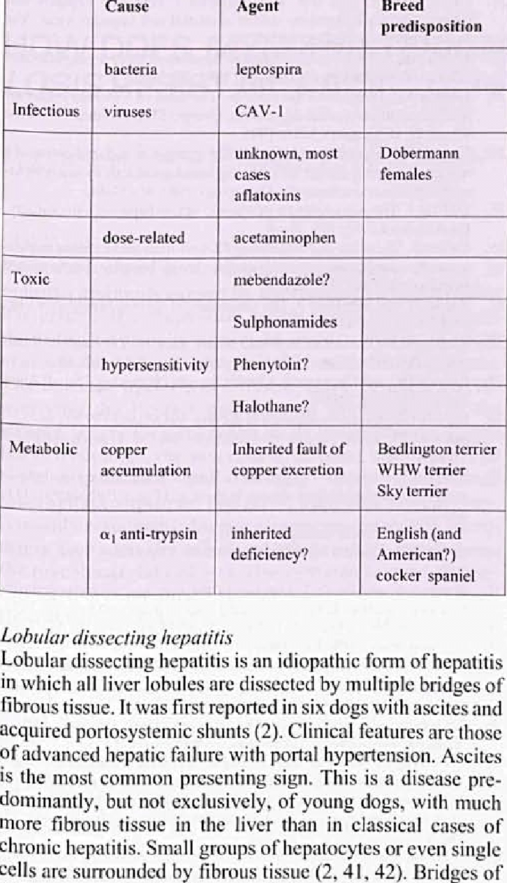 Causes of chronic hepatitis in dogs according to Rothuizen ...
