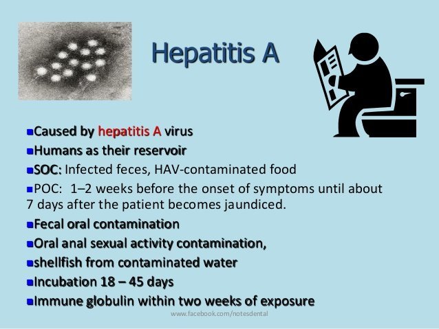 Childhood Diseases â On a Mission to Educate: Hepatitis A ...