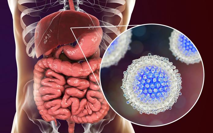 Common causes,Signs and Symptoms of Hepatitis C That ...