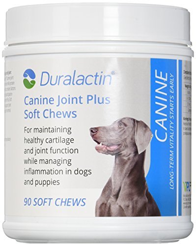 Duralactin Canine 1000mg 180ct Chewable Tabs for Dogs ...