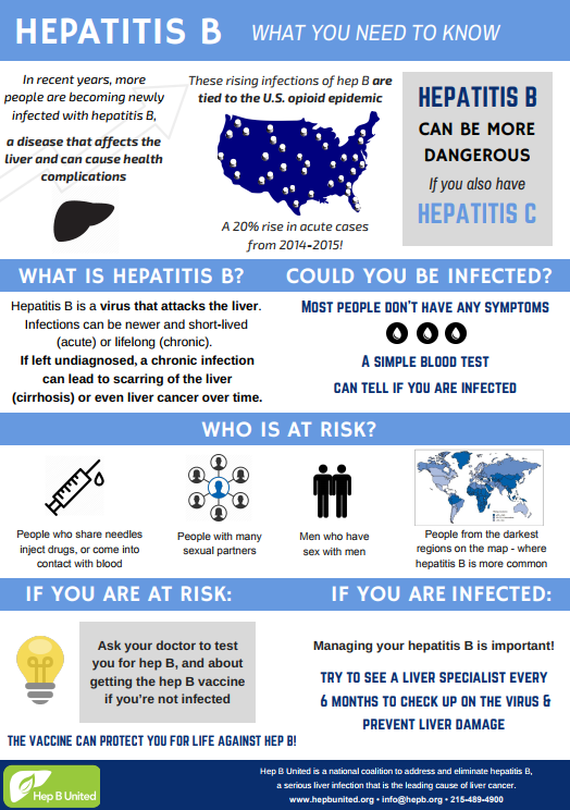 Fact Sheet: Hepatitis B