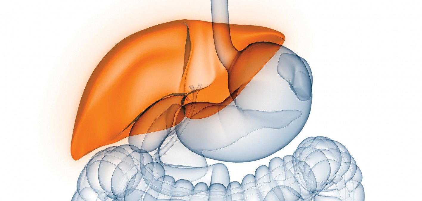 Fatty Liver Risk in Those With HIV &  Hep C
