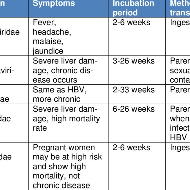 Features of different types of viral hepatitis