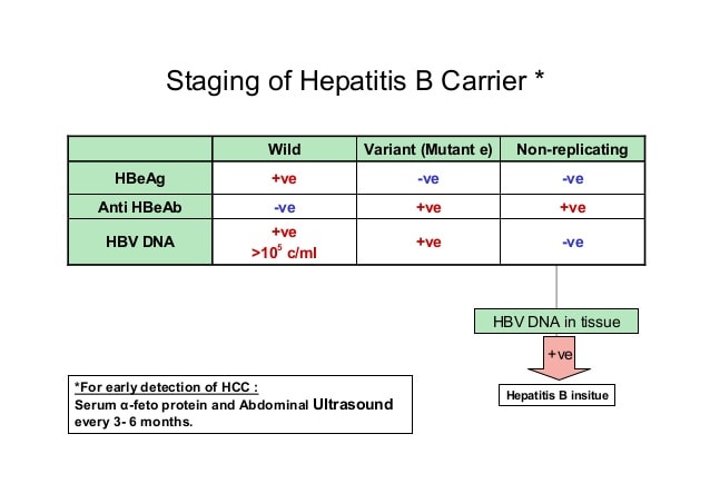 HBV Diagnosis &  Classification