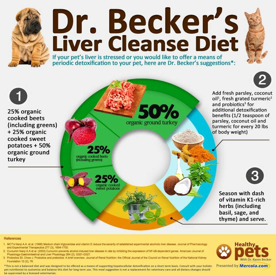 Hepatic Diet For Dogs Recipes
