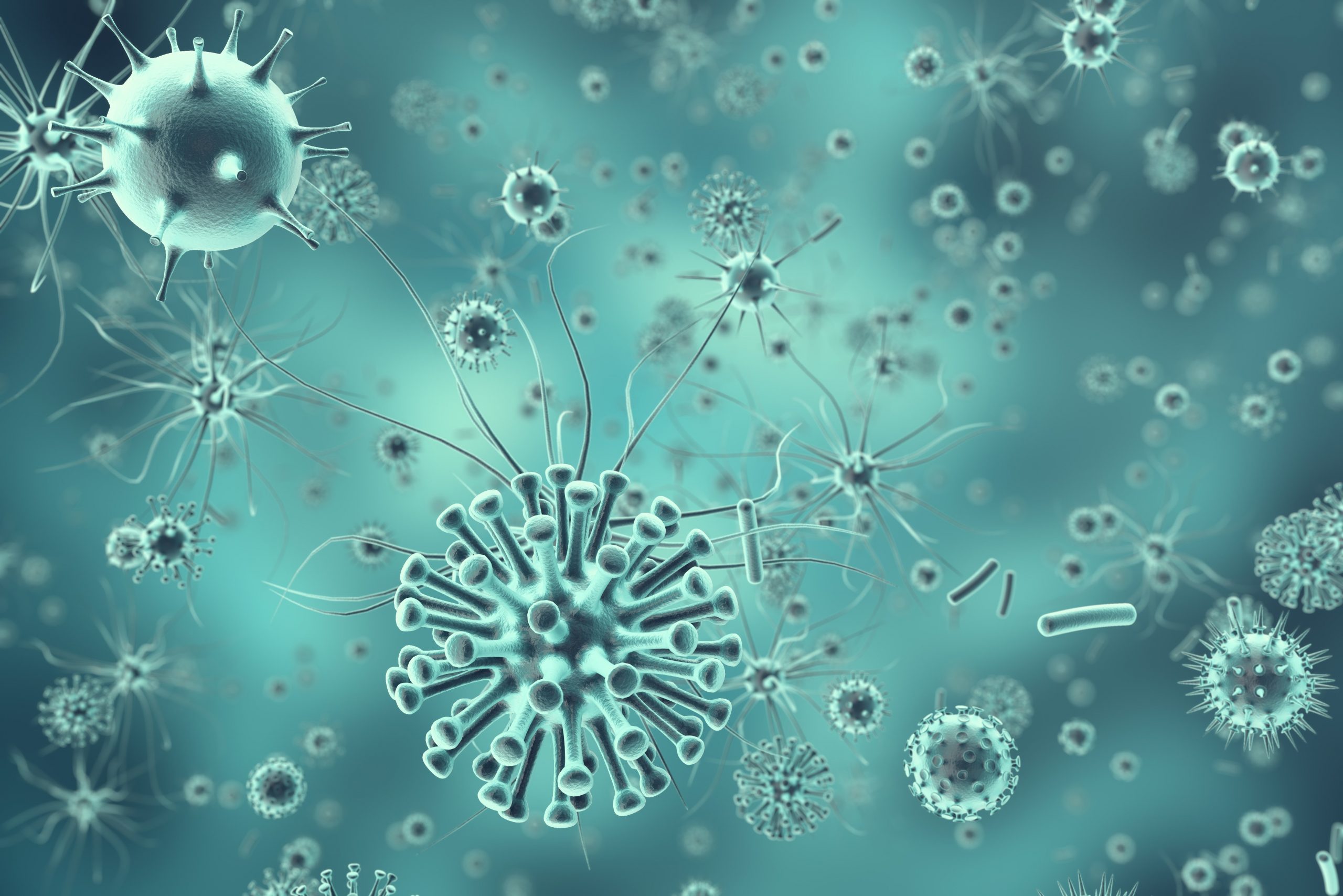 Hepatitis A Virus: Wreaking Havoc for Public Health