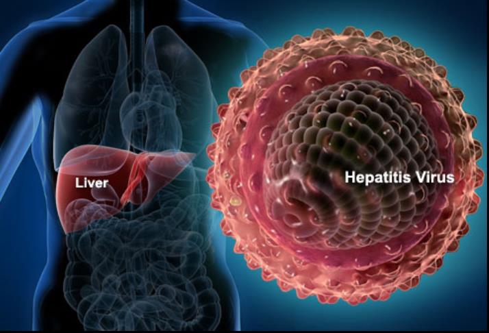 Hepatitis and Sexually Transmitted Diseases Explained.