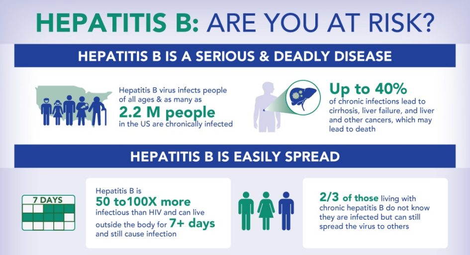 Hepatitis B: Are You At Risk? Infographic  National Foundation for ...