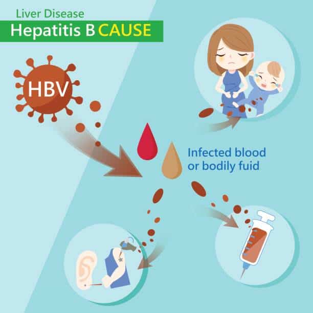 Hepatitis B Cartoon Illustrations, Royalty