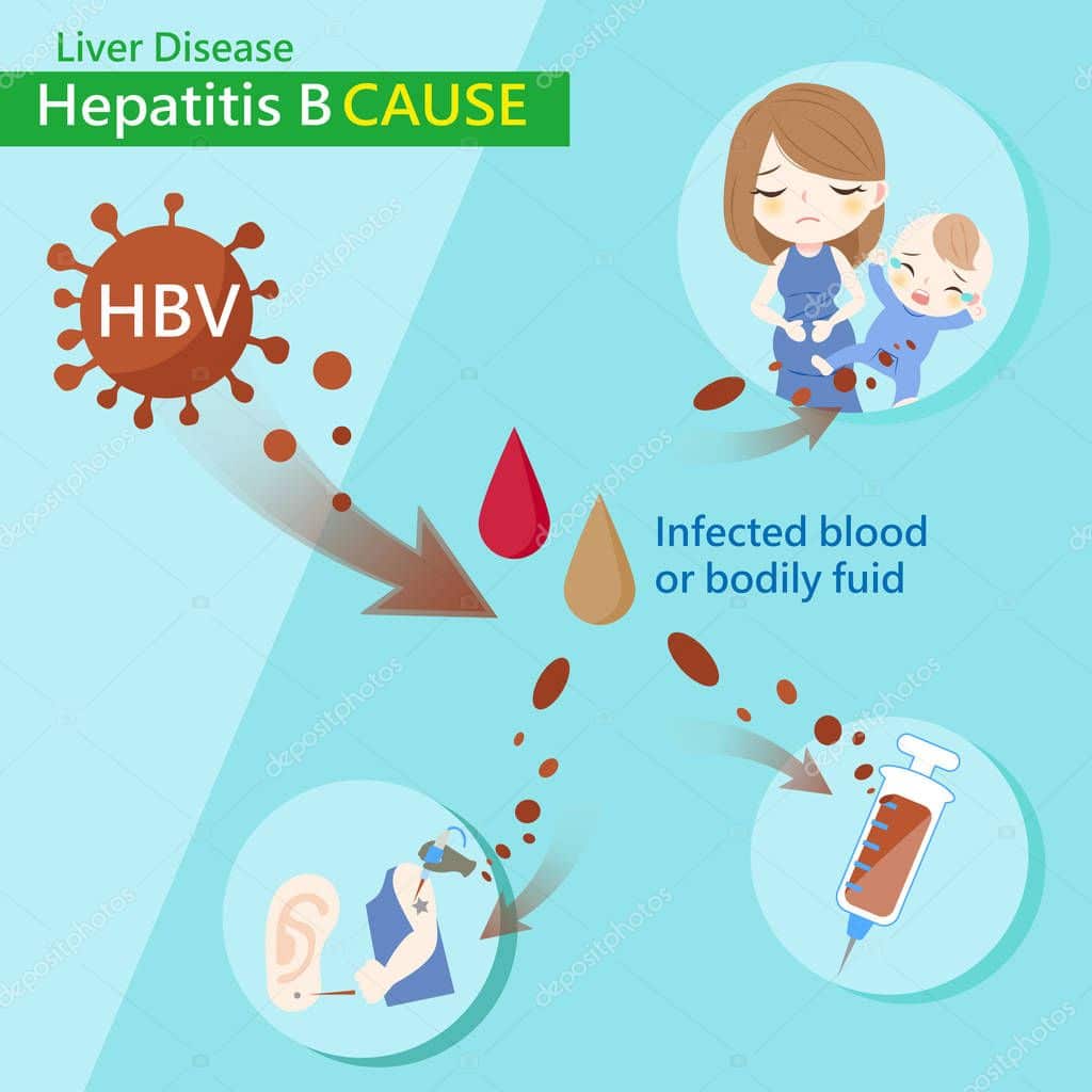 Hepatitis b cause  Stock Vector © estherqueen999 #153785576