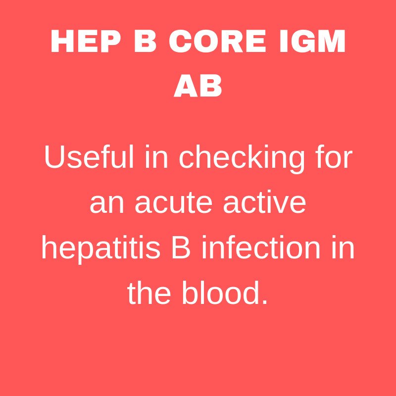 Hepatitis B Core Antibody IgM