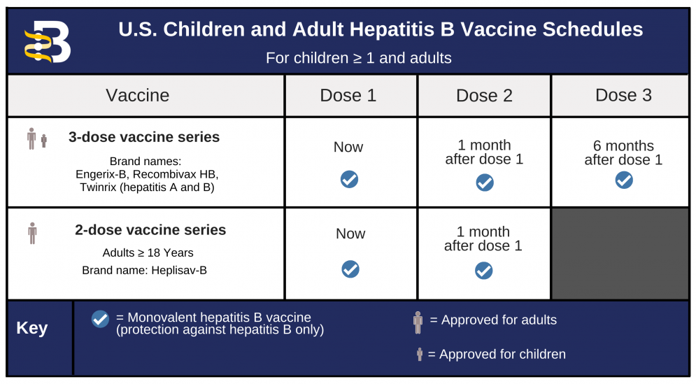 Hepatitis B Foundation: Hepatitis B Vaccine Schedules