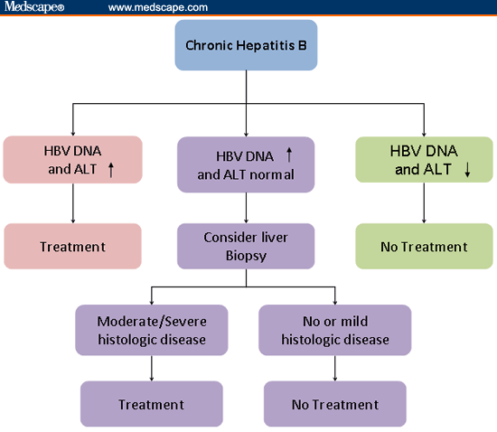 Hepatitis B: Indications for Therapy Initiation