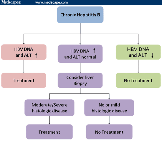 Hepatitis B: Indications for Therapy Initiation
