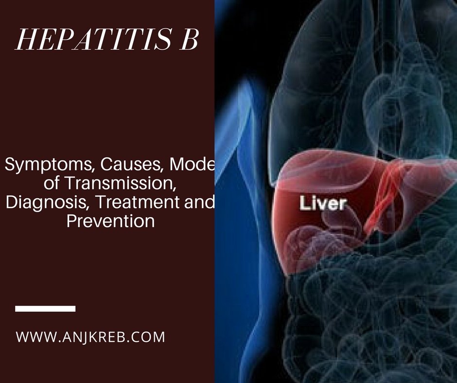 Hepatitis B: Overview, Mode of Transmission, Signs&  symptoms, Treatment ...