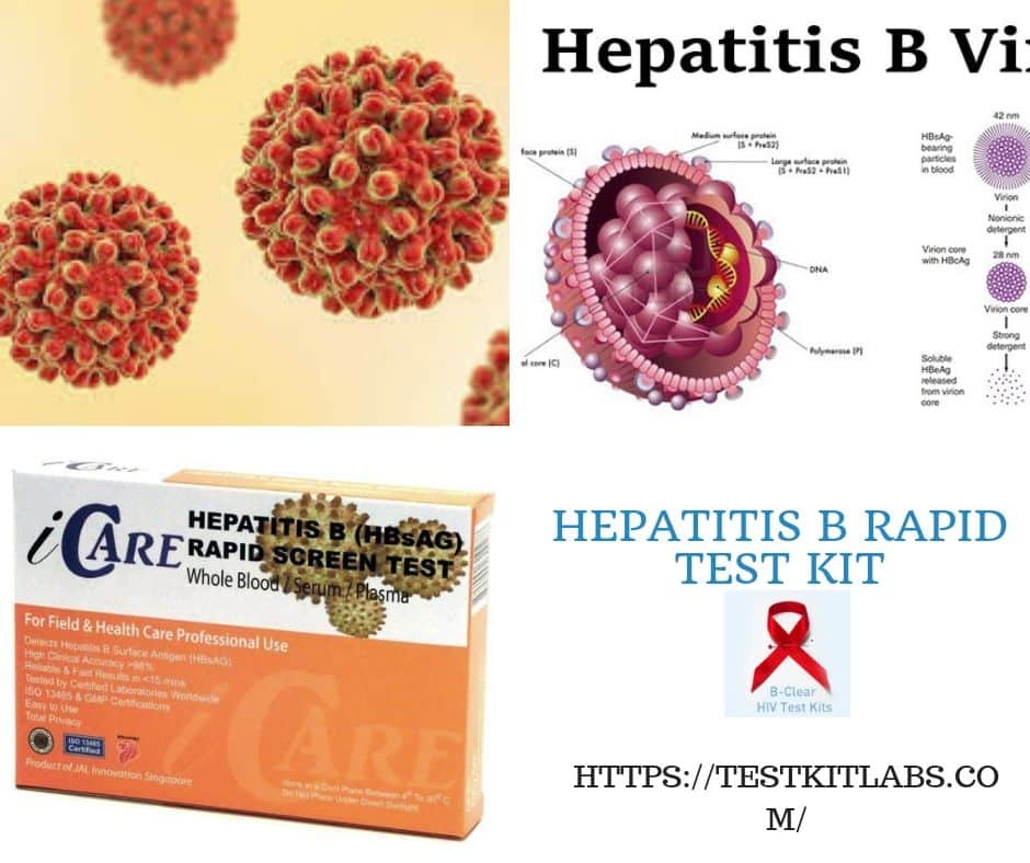 Hepatitis B Rapid Test Kit