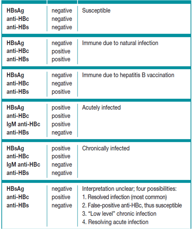Hepatitis B Surface Antibody Interpretation