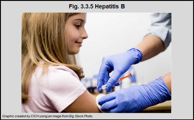 Hepatitis B  The Health of Canadas Children and Youth
