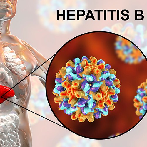Hepatitis B Vaccinations  VaxWorks Health Services