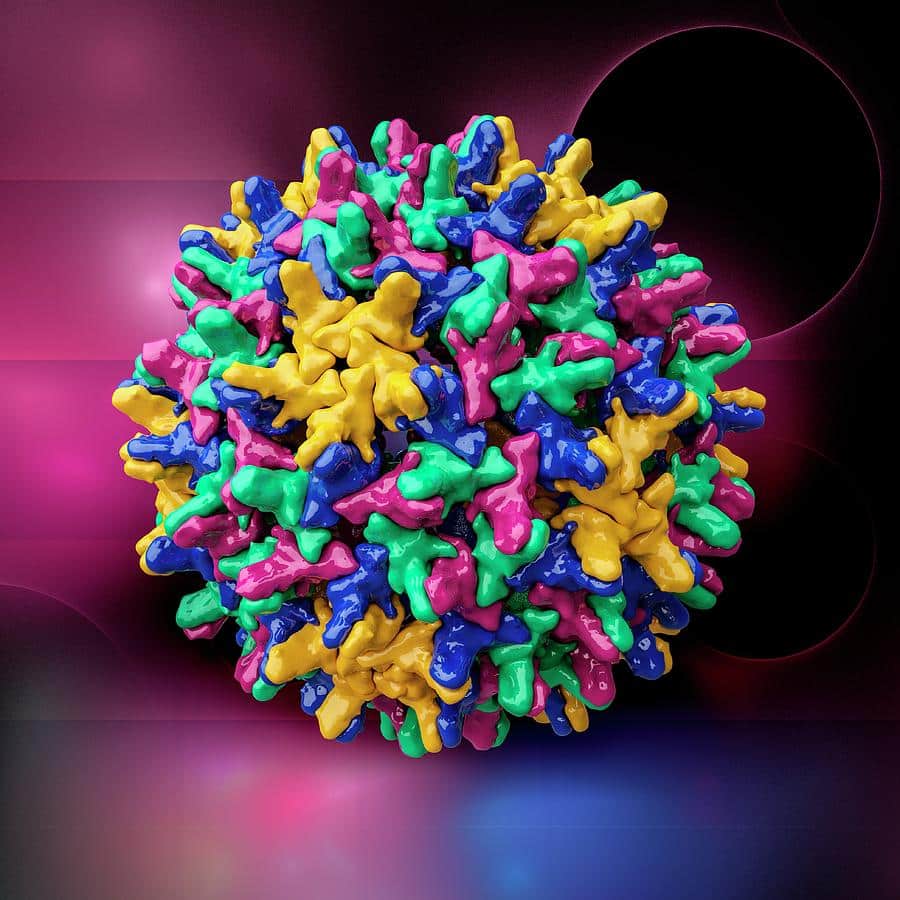 Hepatitis B Virus Capsid Photograph by Laguna Design/science Photo Library