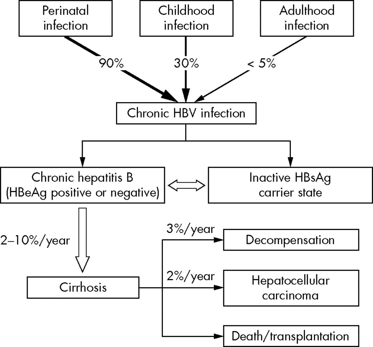 Hepatitis B virus (HBV) reactivation with immunosuppressive therapy in ...