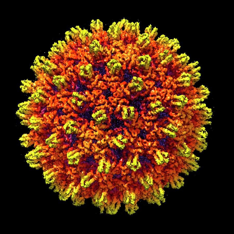 Hepatitis B Virus Photograph by Louise Hughes