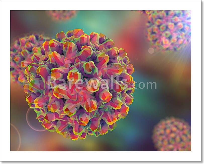 Hepatitis B Viruses Art Print / Canvas Print. Poster, Wall ...