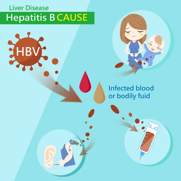 Hepatitis B,HBV. Biliary system â Stock Vector Â© realmcoy #1668450