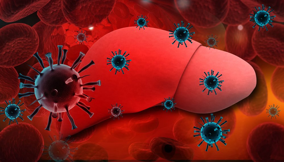 Hepatitis C Antibody Test: How Does It Work?  Henkslab