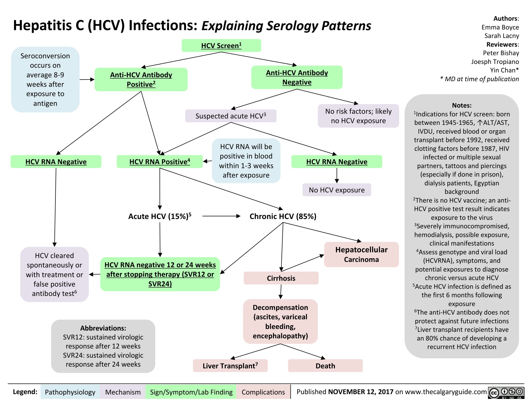Hepatitis C (HCV) Infections: Explaining Serology Patterns