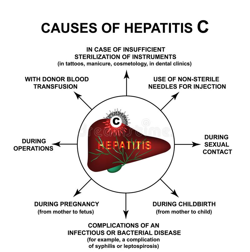 Hepatitis C : Hepatitis C Ansteckung Symptome Therapie Vitanet De, Over ...