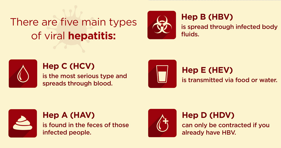 Hepatitis C its Causes and Treatment of Hepatitis C