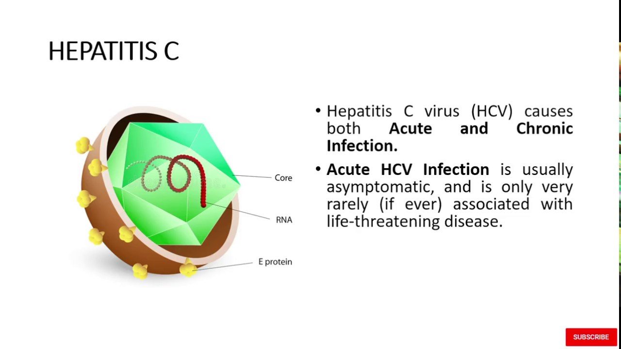 Hepatitis C Virus, Cause, Transmission, Symptoms
