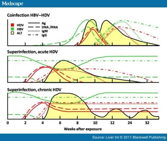 Hepatitis D Virus: An Update