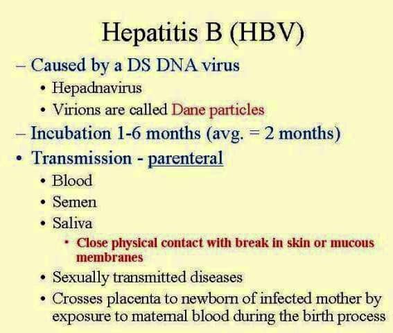 Hepatitis Homeopathy Specialty Treatment Center,: Hepatitis B (HBV ...