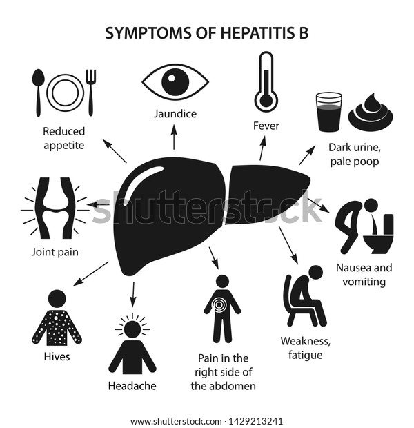 Hepatitis Liver Symptoms Hepatitis B Form Stock Vector (Royalty Free ...