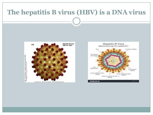 Hiv & hepatitis