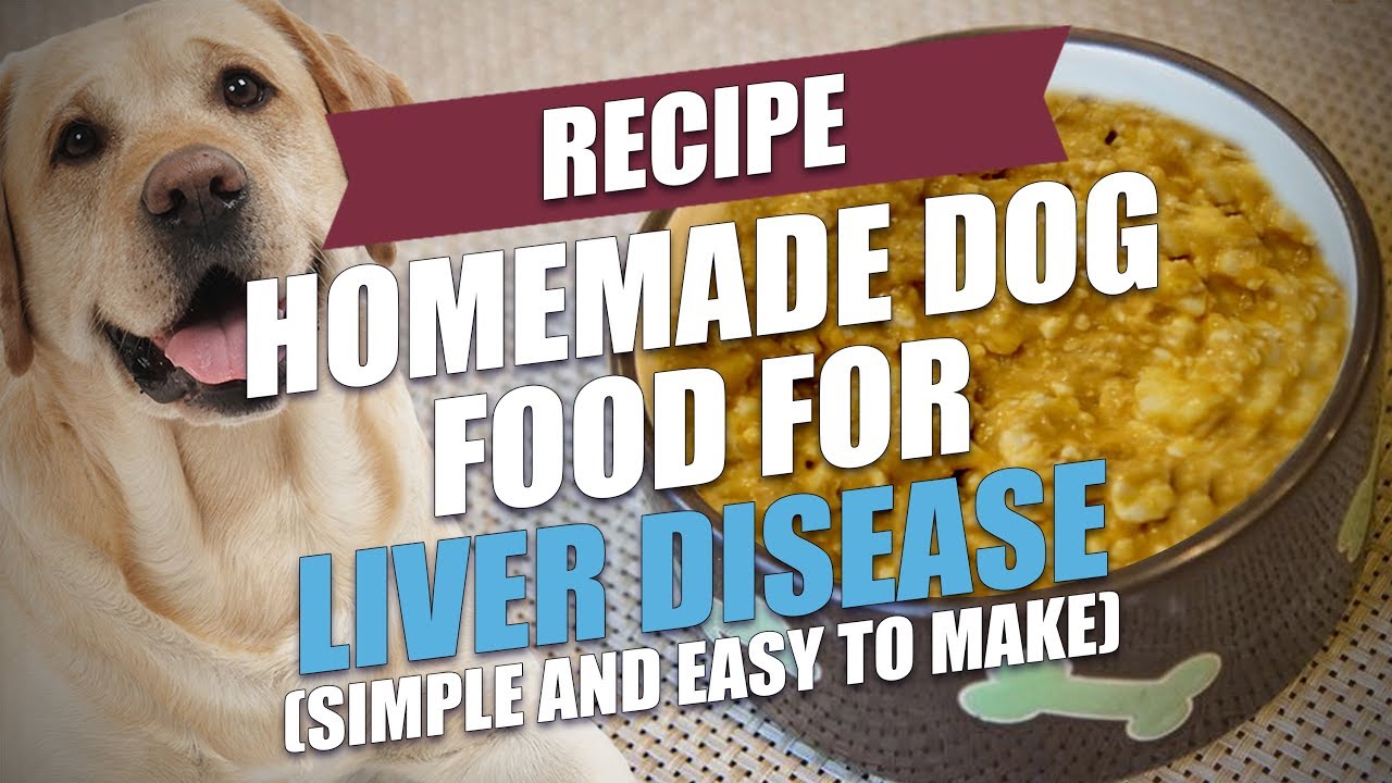 Homemade Dog Food for Liver Disease Recipe (Easy to Make ...