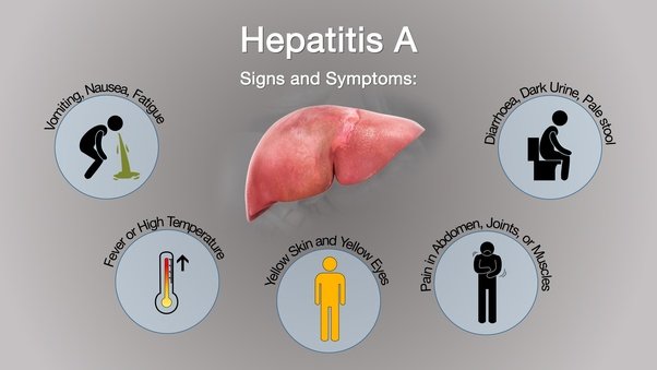 How long does it take to cure Hepatitis A?