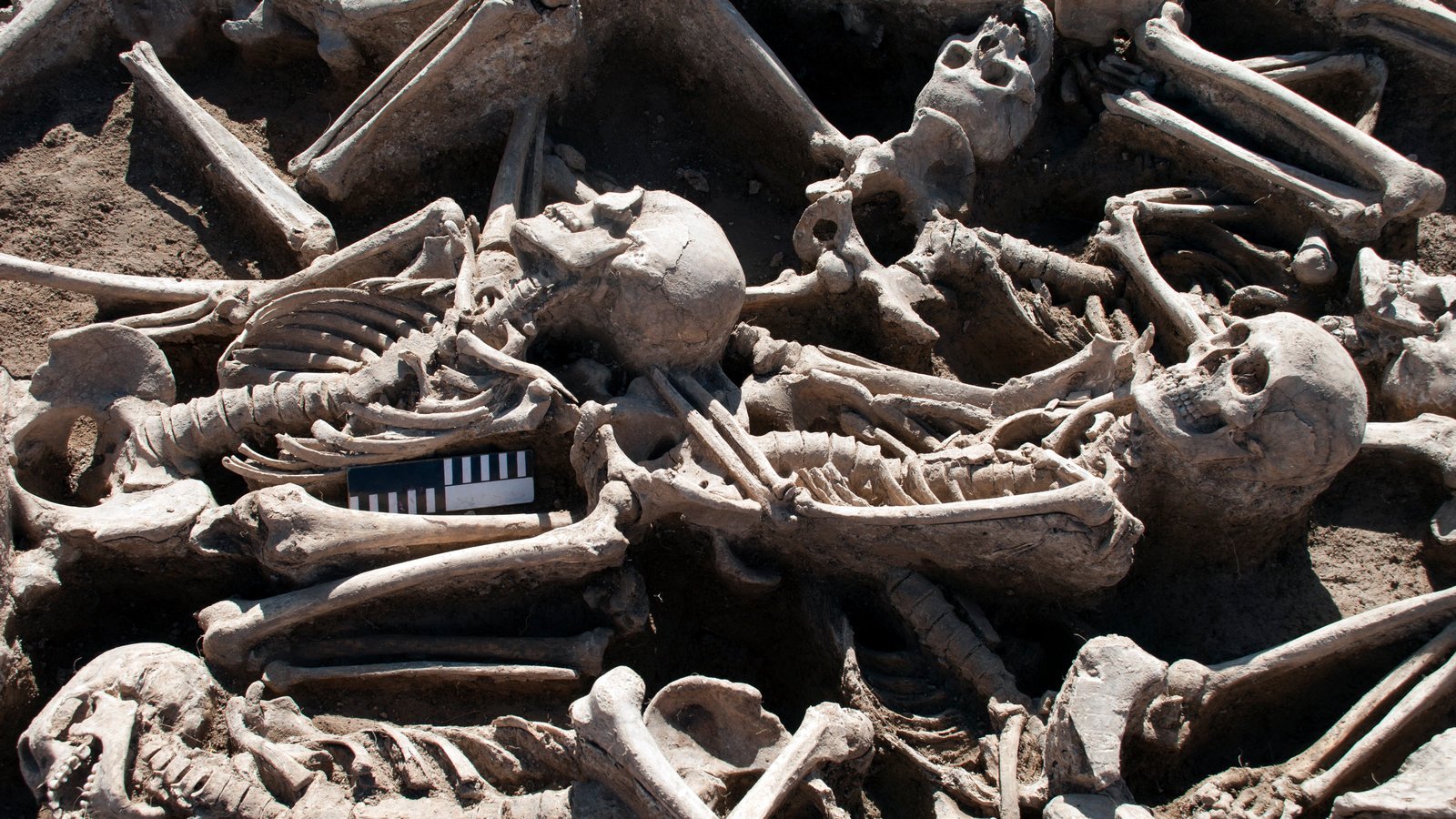 In Ancient Skeletons, Scientists Discover a Modern Foe: Hepatitis B ...