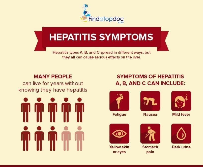Is Hepatitis B Contagious? Acute vs. Chronic Hepatitis B ...